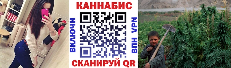 Бошки Шишки OG Kush Сычёвка